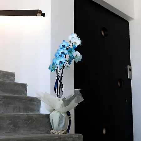 Thermes Private لوتراكي
